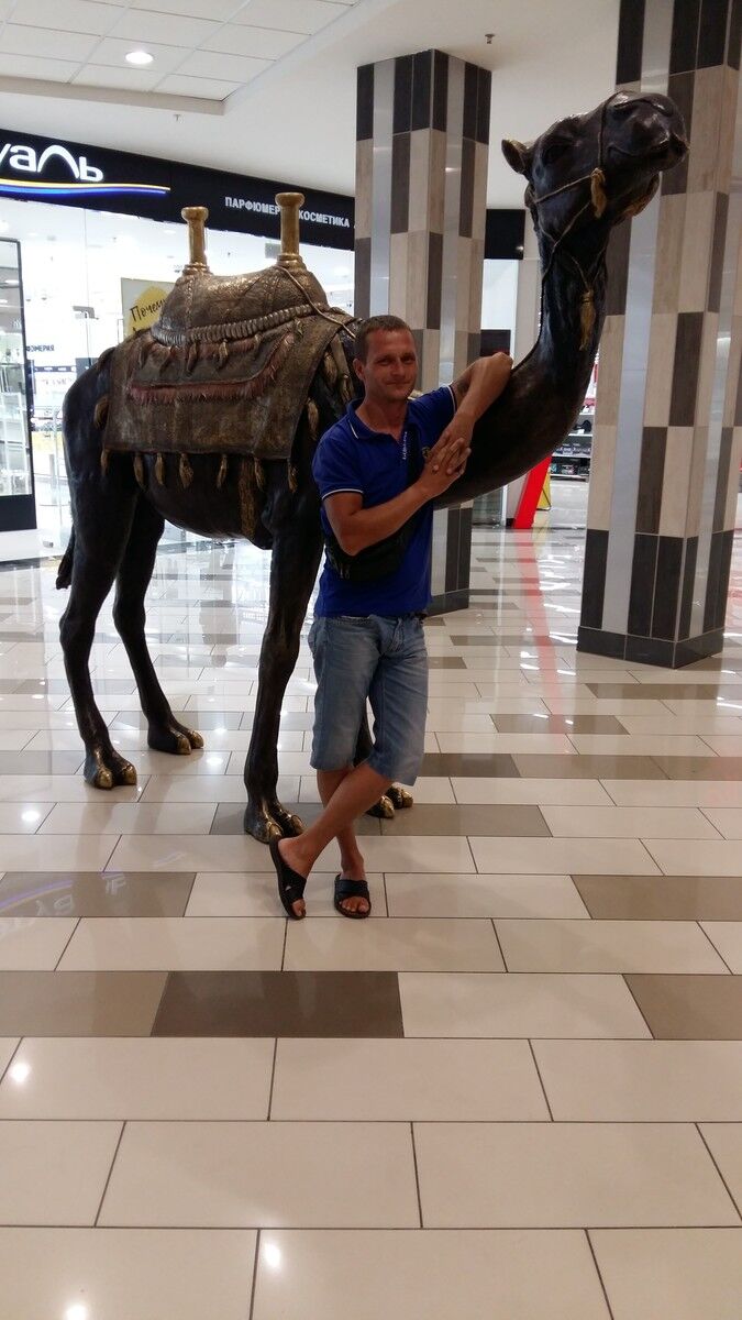 ���� 16661475 ������� ���������, 43 ����, ���� ���������� � ����������