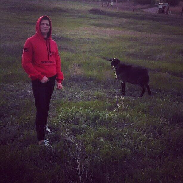 ���� 23078915 ������� ����, 26 ���, ���� ���������� � ���������������