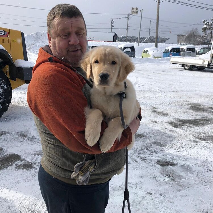 ���� 54986065 ������� ������, 50 ���, ���� ���������� � �������