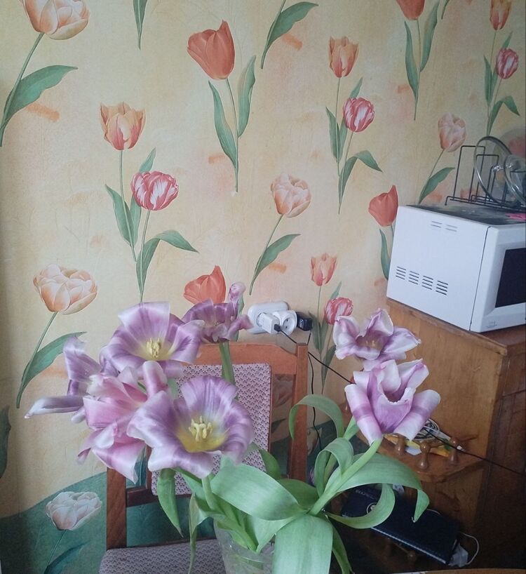 ���� 50232035 ������� ����, 64 ����, ���� ���������� � ����