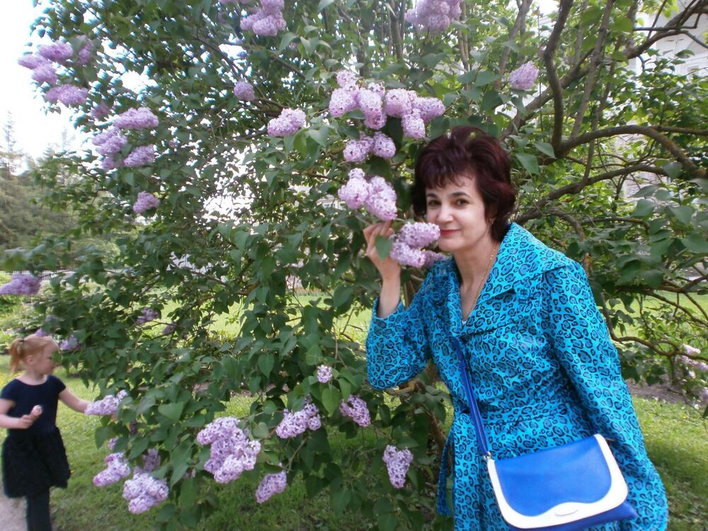  54411425  , 55 ,    -