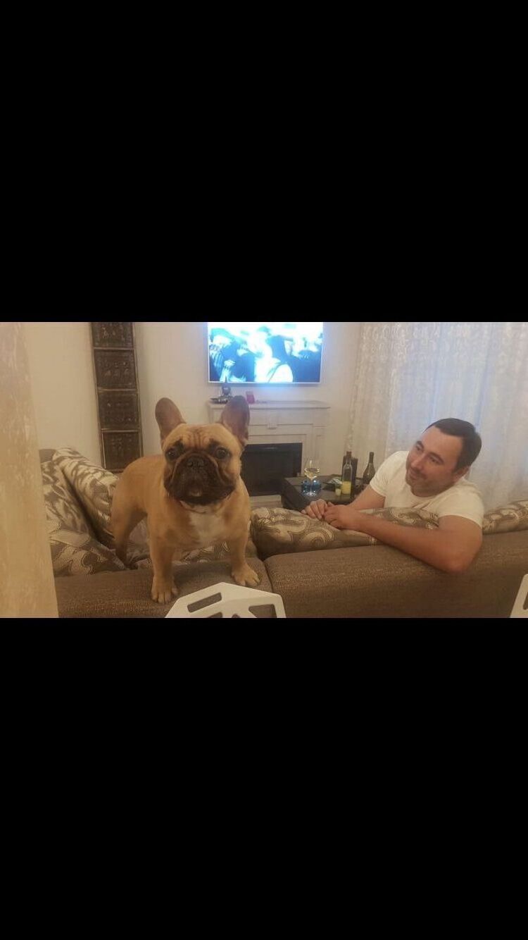 ���� 33230945 ������� �������, 40 ���, ���� ���������� � ������