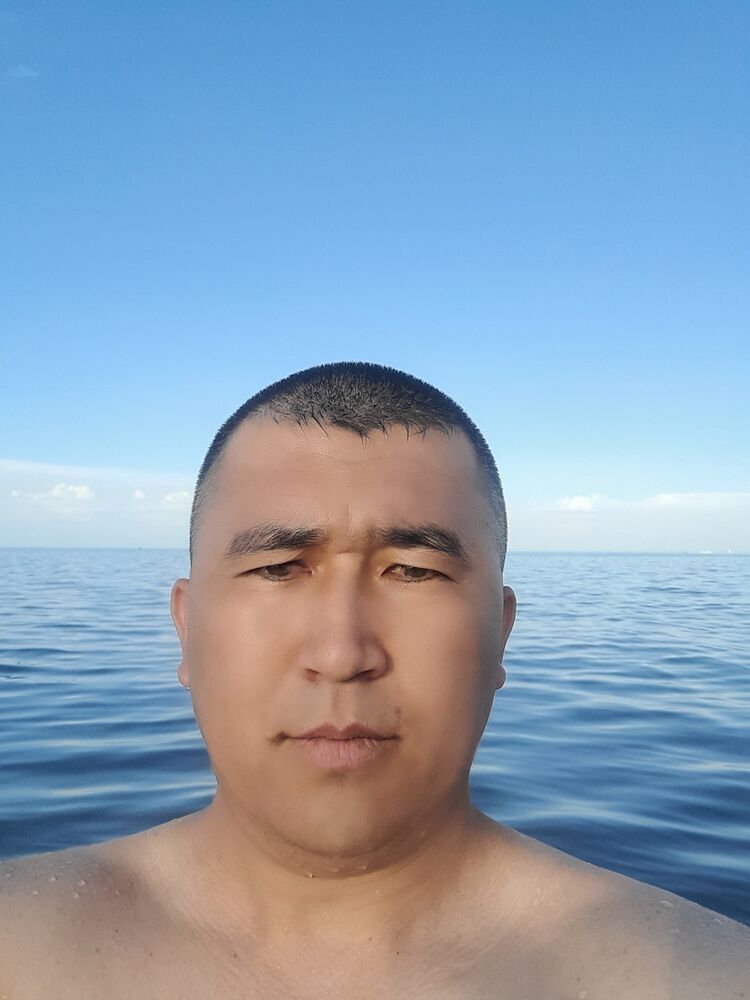  40916745  , 40 ,    