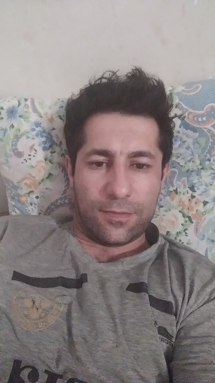  33327595  , 37 ,    