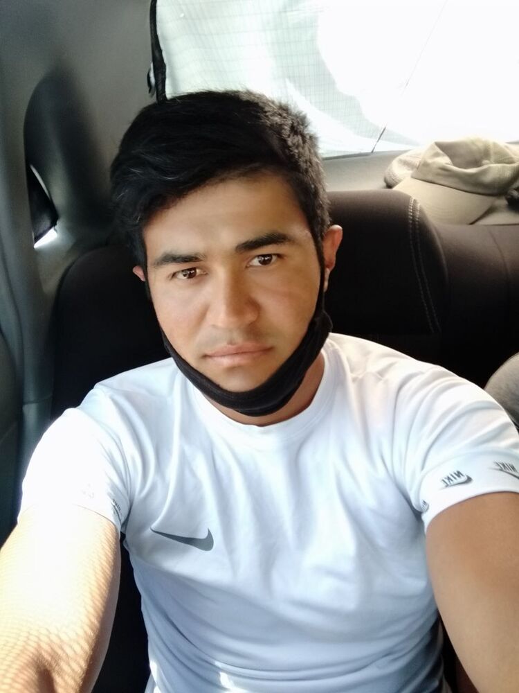  32786505  , 31 ,    