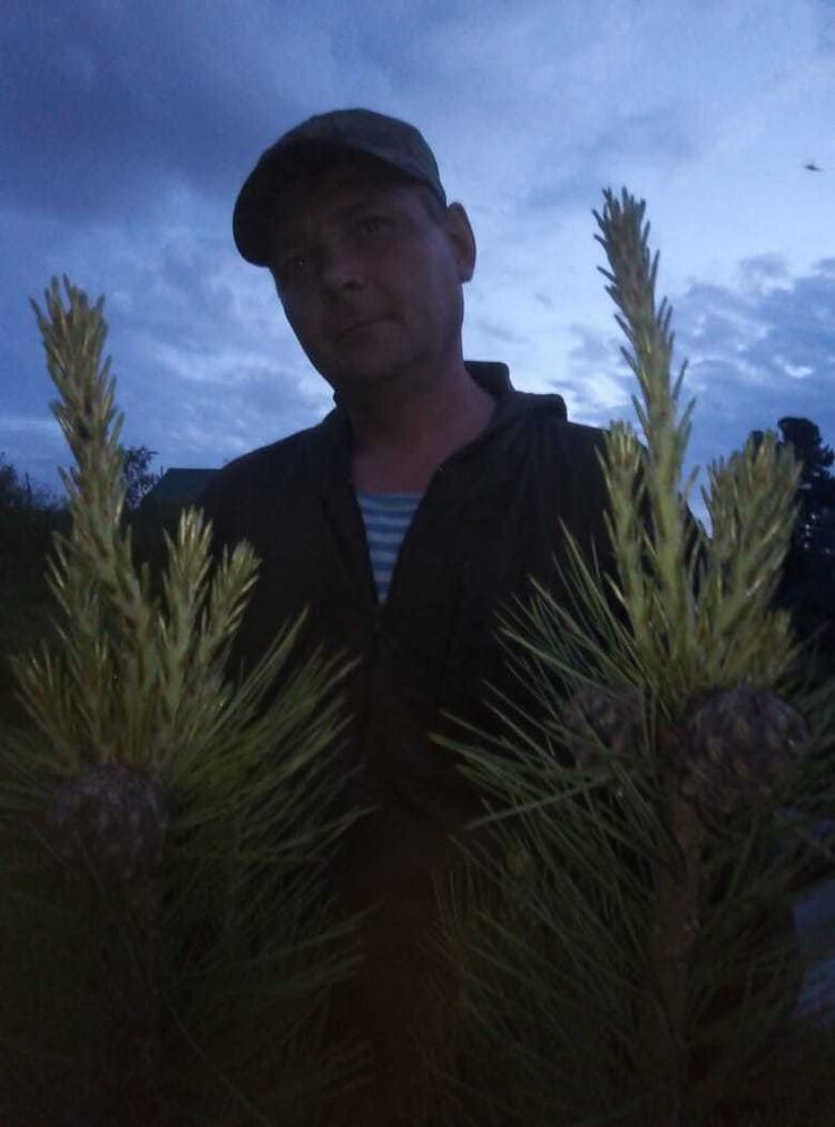 ���������� �����, ���� ������� ���������, 47 ���, ������������ ��� ����� � ���������, c�������� ���������