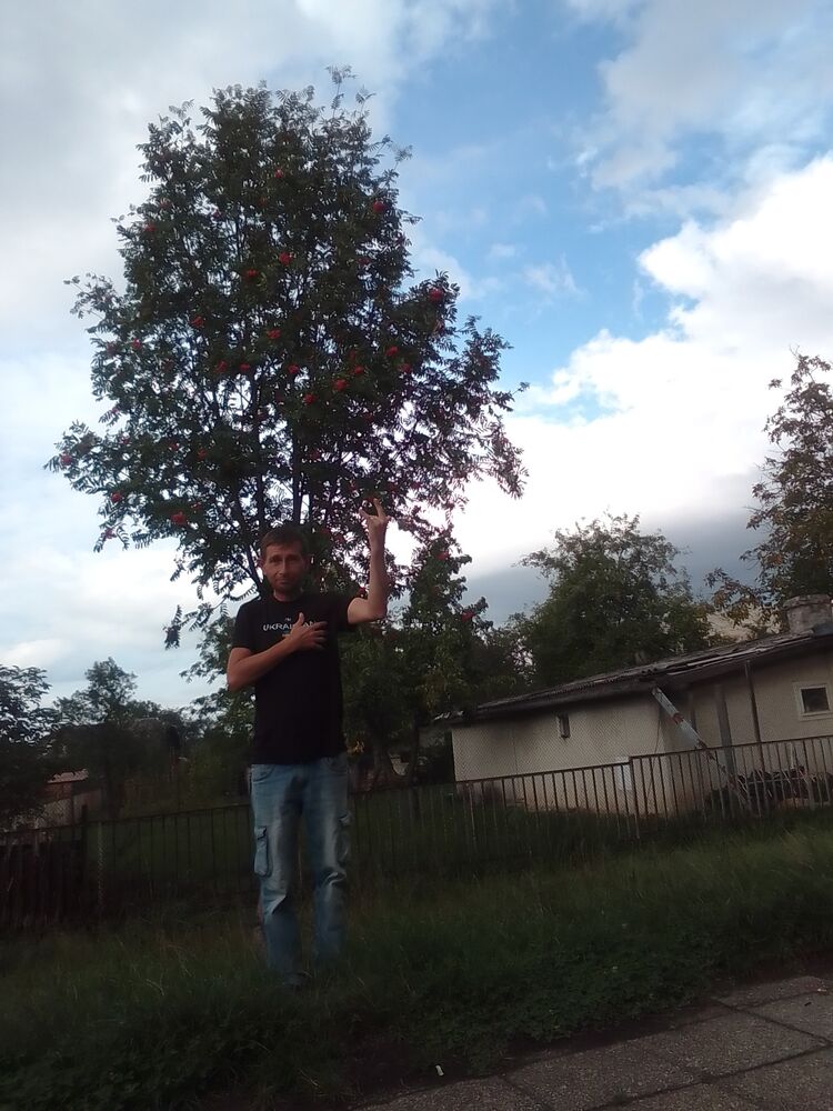  29415235  , 44 ,    