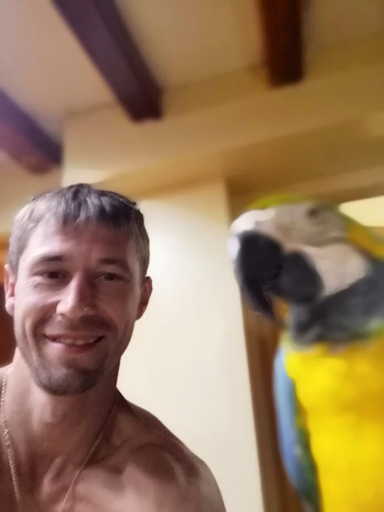 ���������� ������, ���� ������� ����, 36 ���, ������������ ��� ������, ����� � ���������