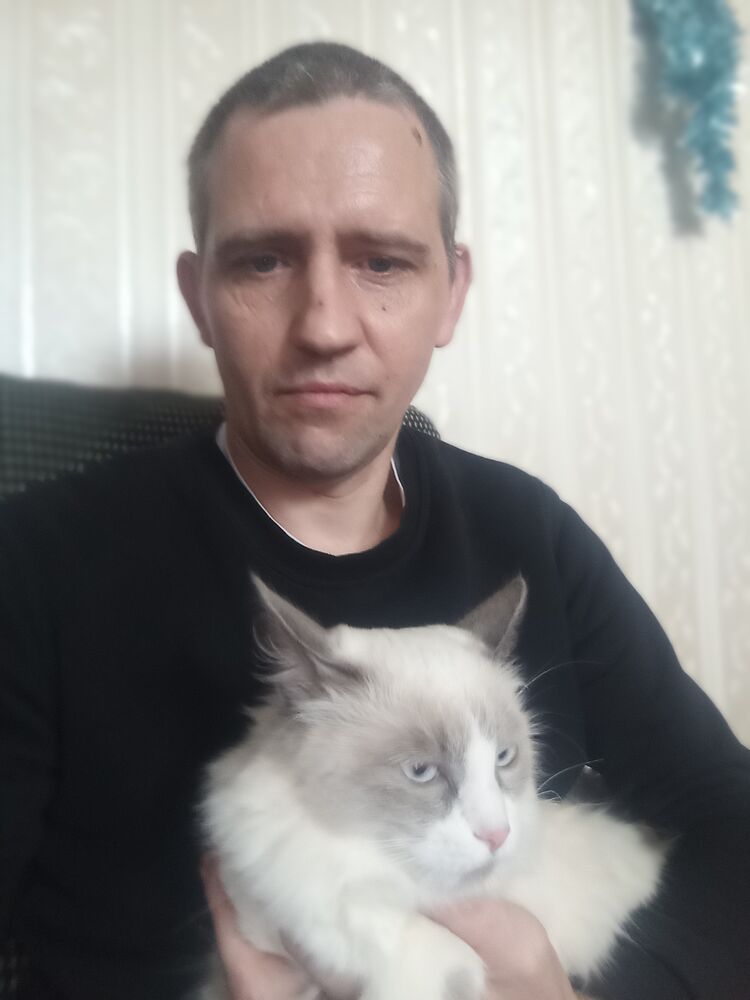 ���� 56232375 ������� �������, 40 ���, ���� ���������� � ��������