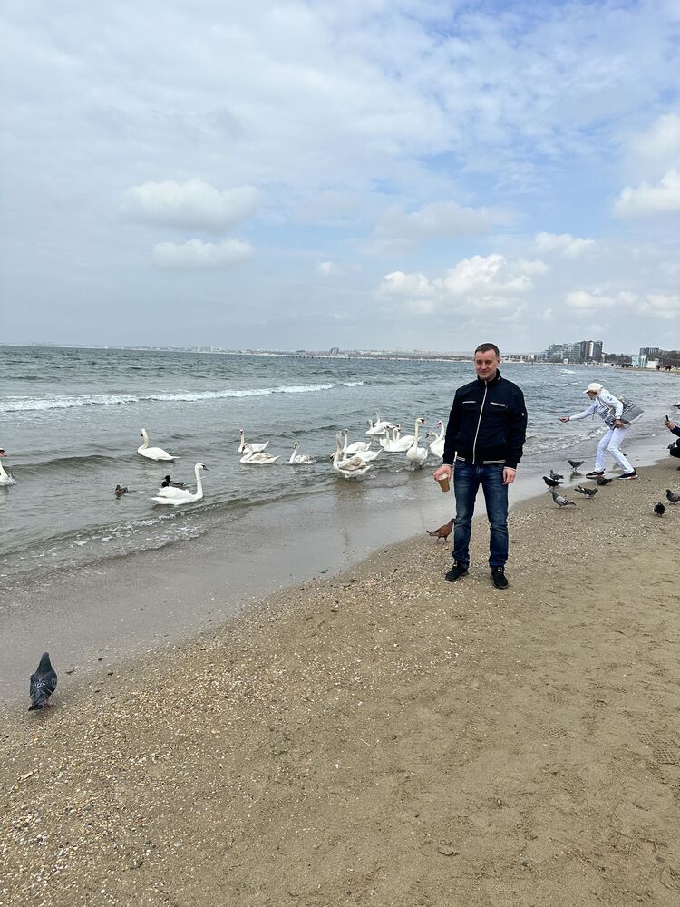 ���� 55597185 ������� �������, 38 ���, ���� ���������� � ���������