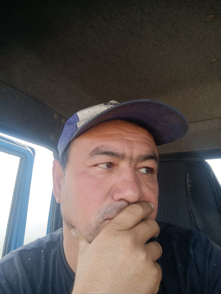  36328245  , 38 ,    