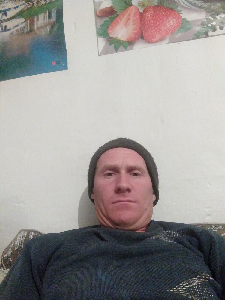 ���� 22636565 ������� �������, 36 ���, ���� ���������� � �������