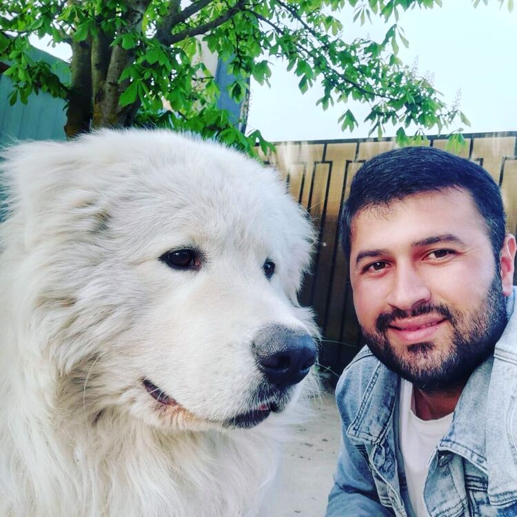 ���������� ������, ���� ������� ������ ���, 34 ����, ������������ ��� ������, ����� � ���������