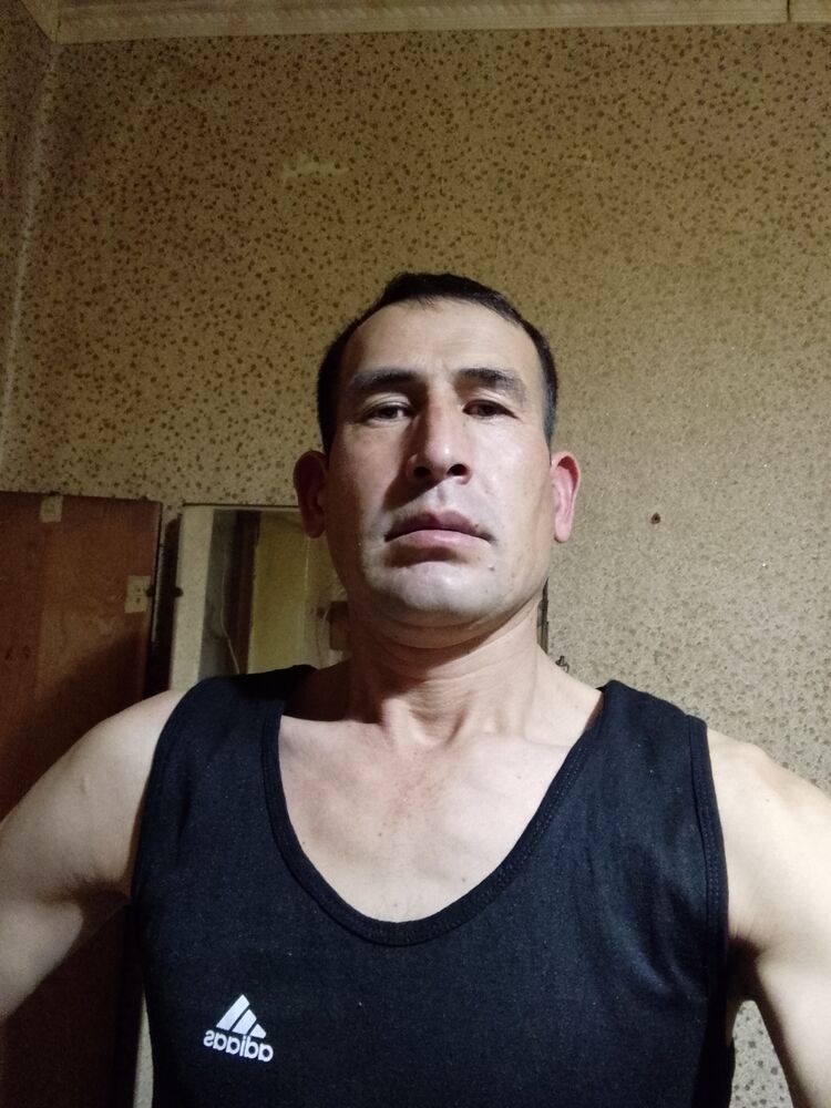  33153335  , 40 ,    