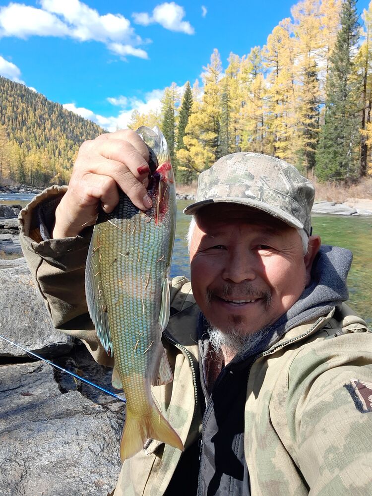  49000605  , 54 ,    -