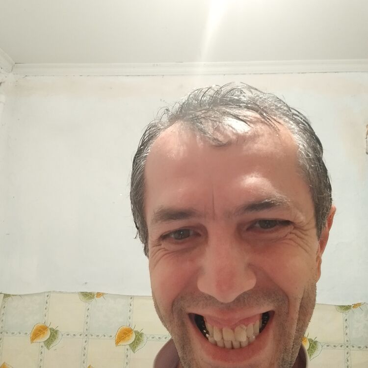  51347155  , 47 ,    