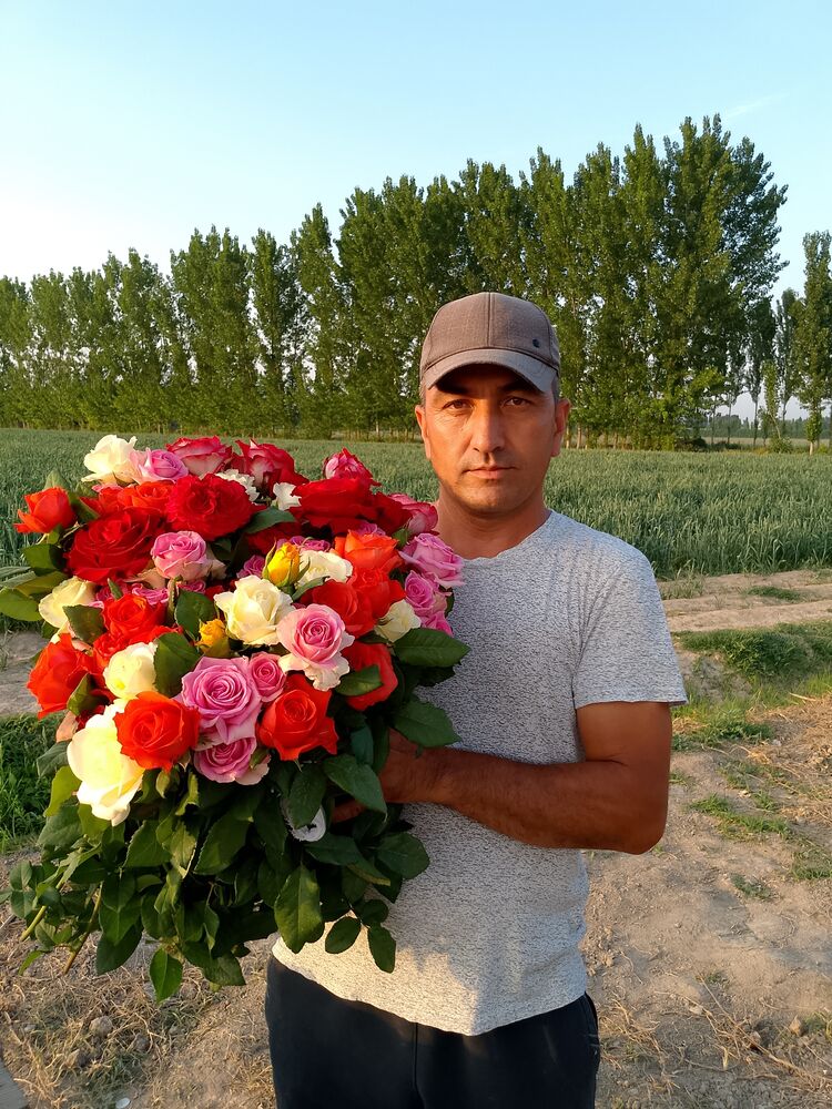  ,   M Q, 39 ,   ,   