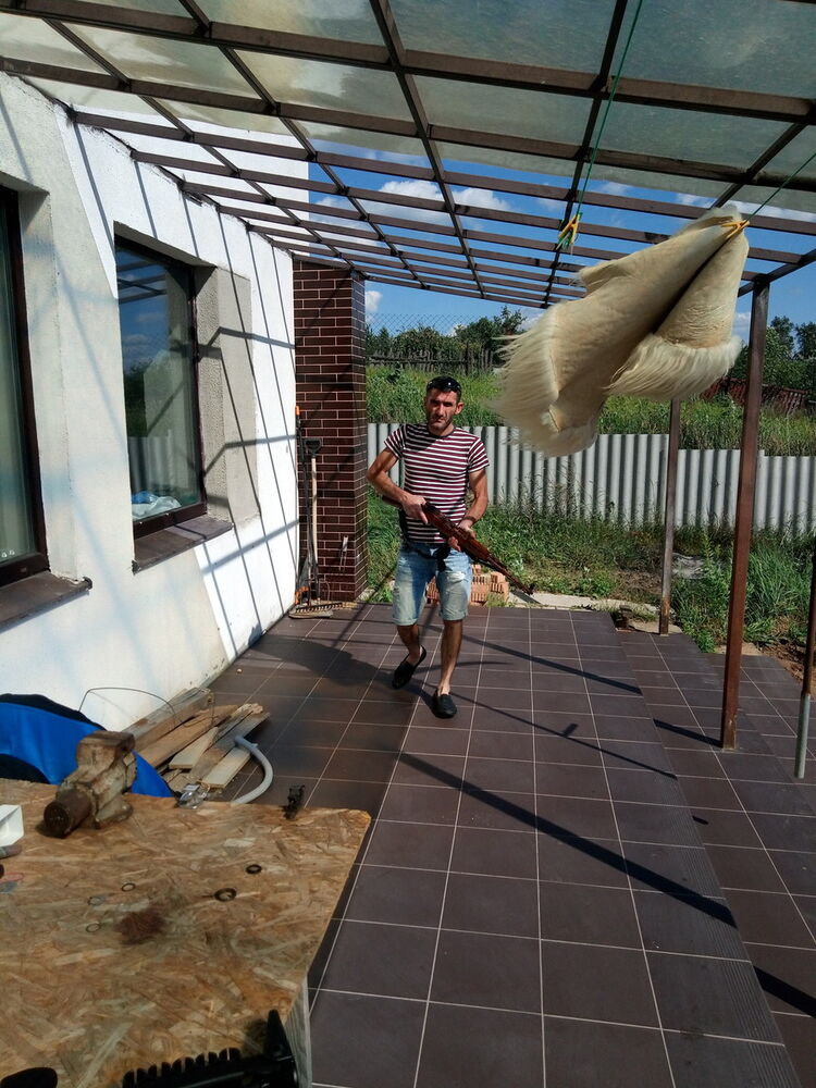 ���� 19302505 ������� Giorgi, 42 ����, ���� ���������� � ������