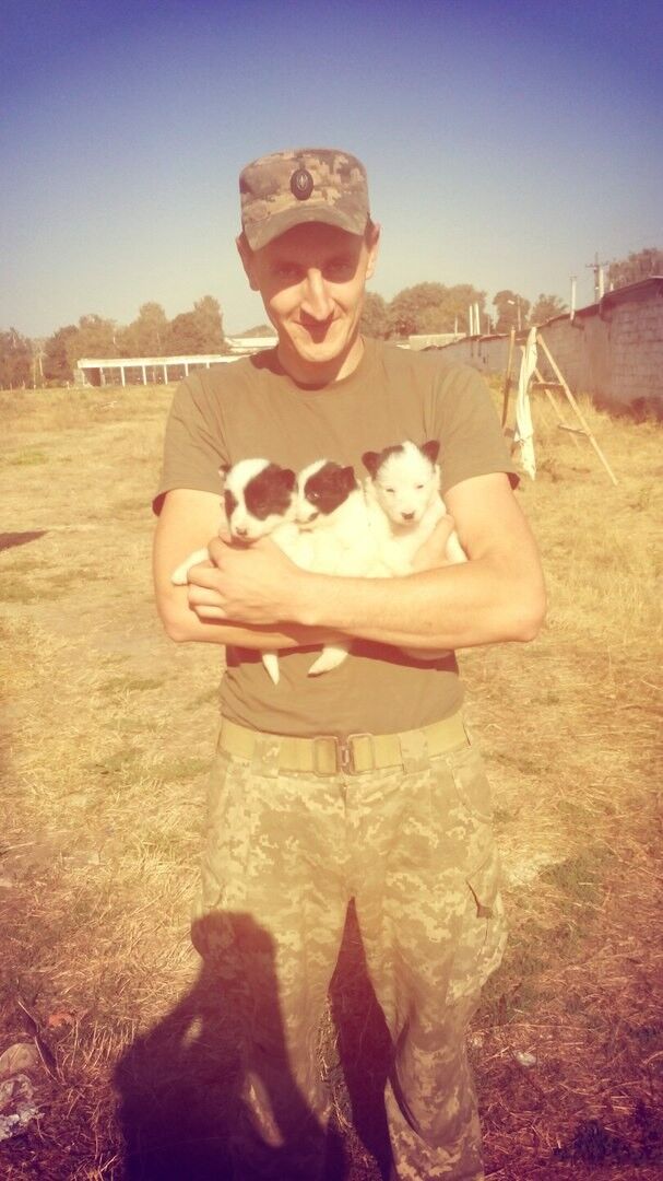 ���� 8311335 ������� �����, 31 ���, ���� ���������� � �������