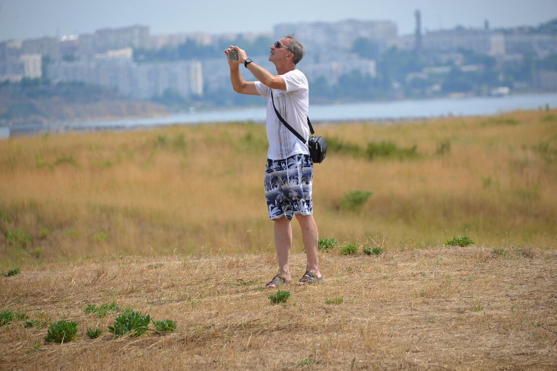 ���� 29303315 ������� ������, 44 ����, ���� ���������� � ������������