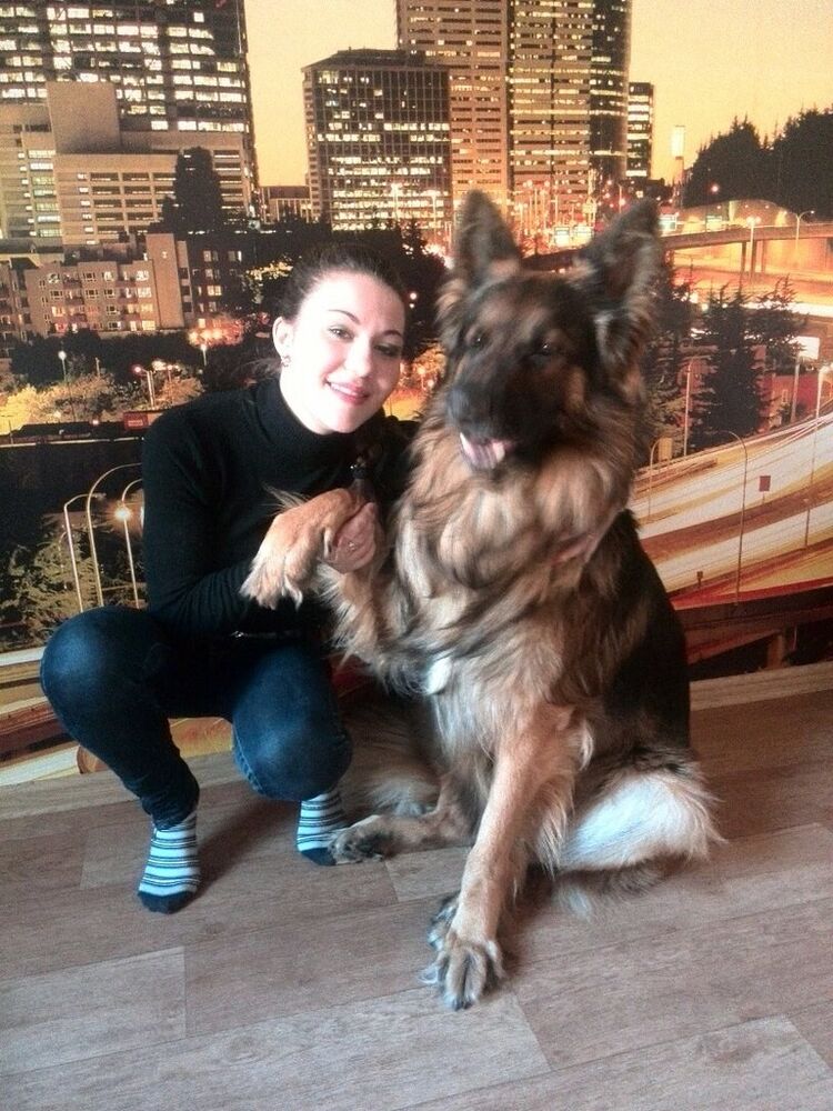  ,   Hishchnica, 33 ,   ,   , c 