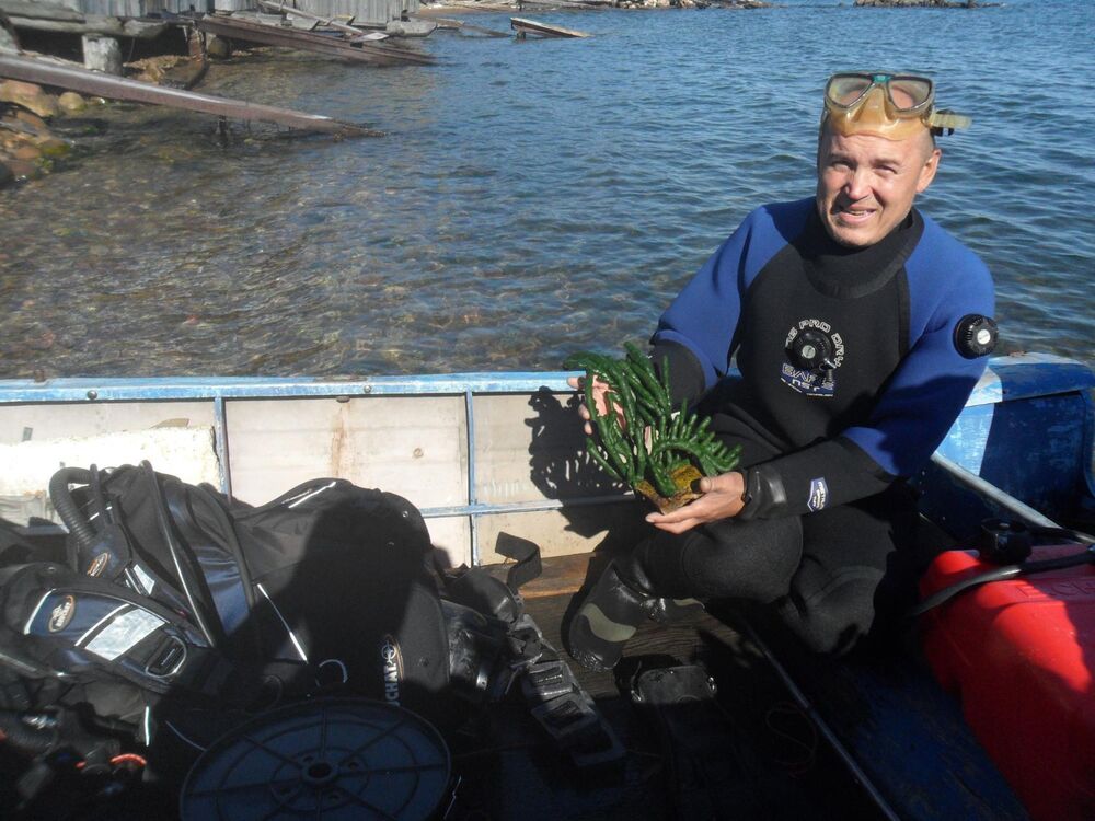 ���������� �������, ���� ������� ����, 53 ����, ������������ ��� ������, ����� � ���������, c�������� ���������, ���������