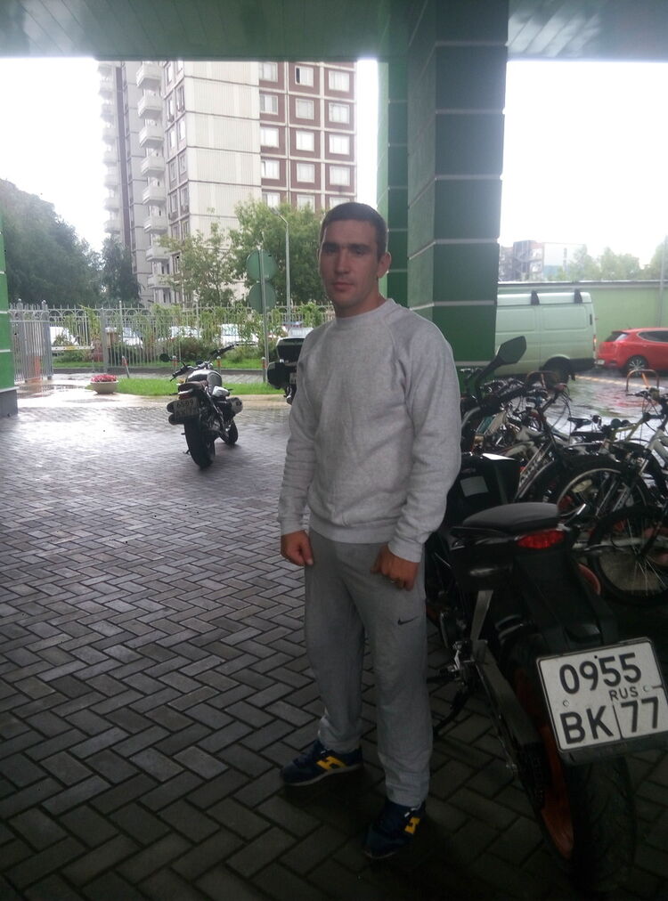  ,   Kraft, 31 ,   ,   , c 