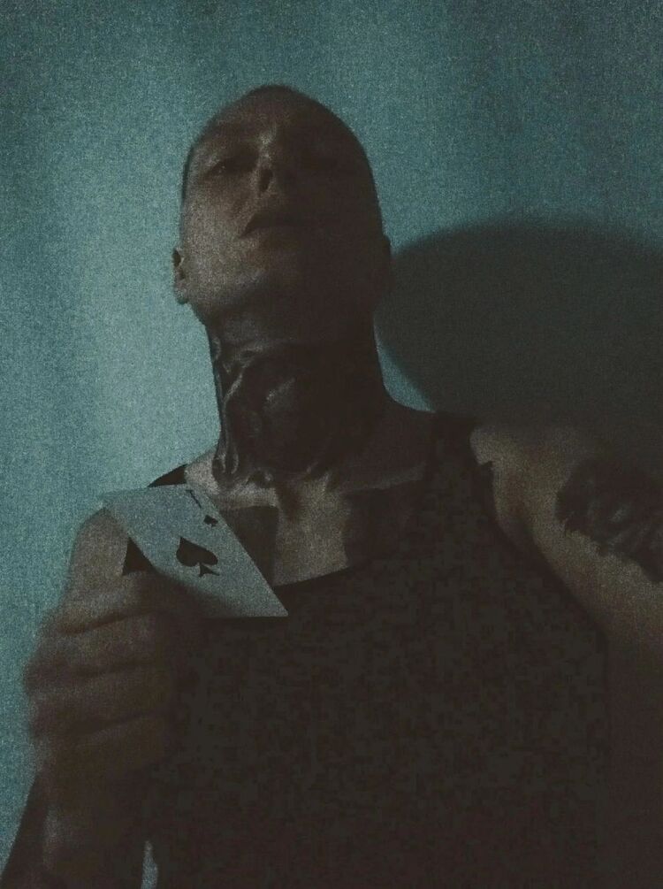  31148915  , 37 ,    
