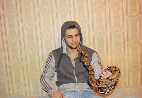 ���� 4816765 ������� 096354544, 38 ���, ���� ���������� � �������