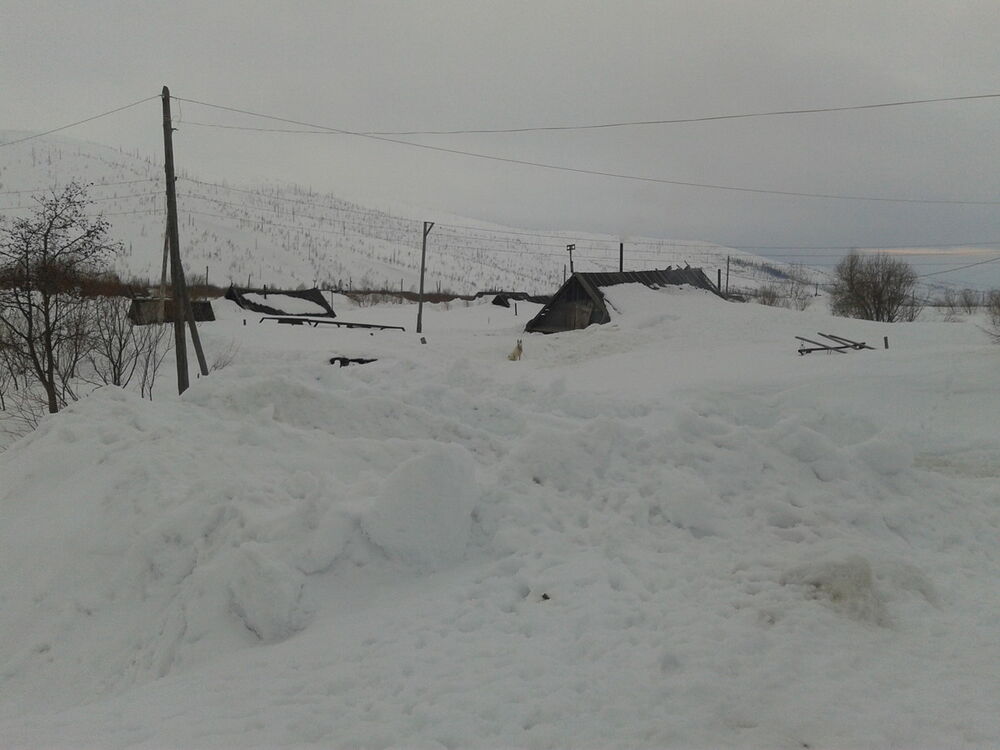  5797145  Aleksei, 48 ,    
