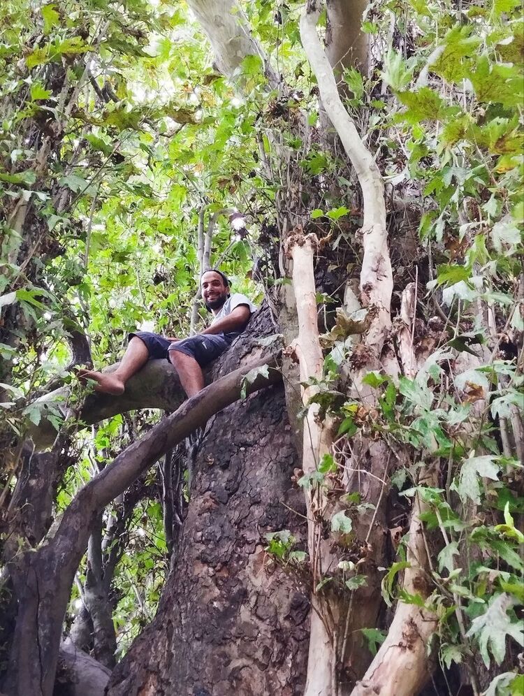 ���� 38747505 ������� ˸��, 31 ���, ���� ���������� � �����-����������