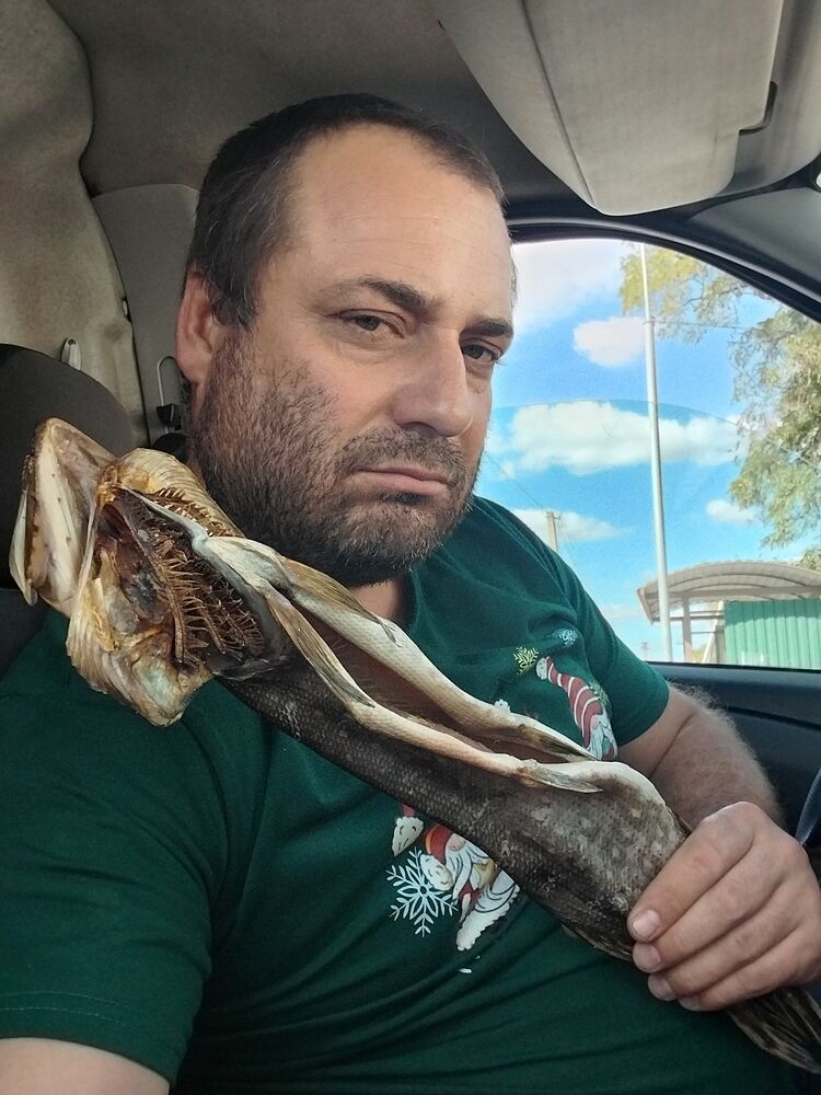 ���� 55647695 ������� ����, 42 ����, ���� ���������� � �����������