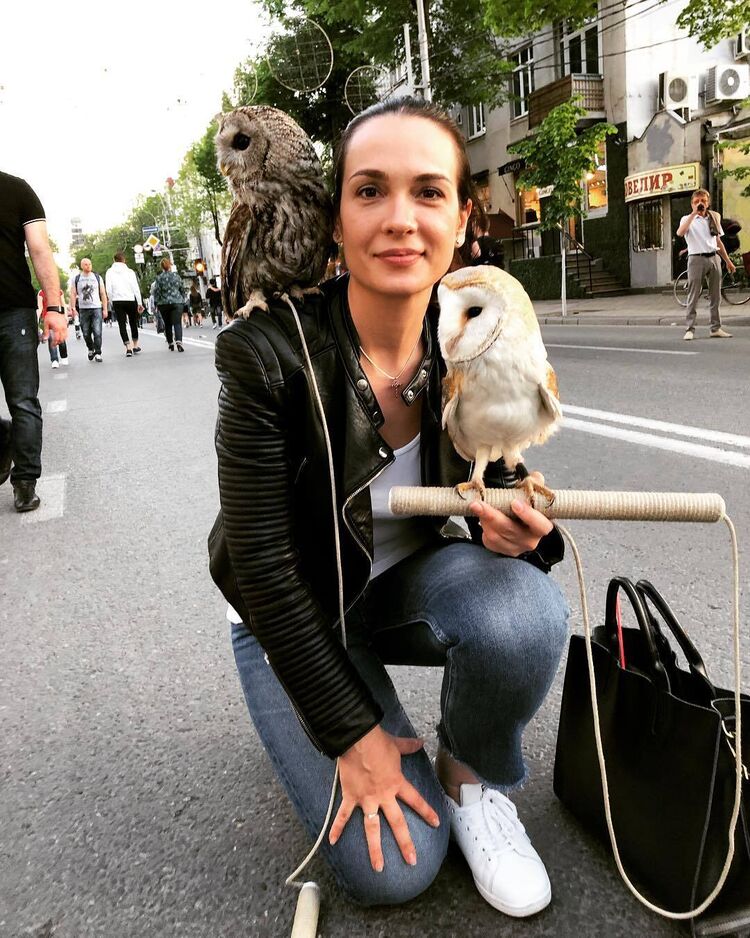 ���������� �����������, ���� ������� �����, 26 ���, ������������ ��� ������, ����� � ���������