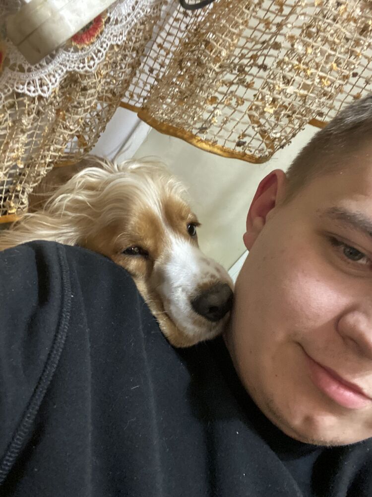 ���������� ����, ���� ������� ������, 26 ���, ������������ ��� ����� � ���������, c�������� ���������