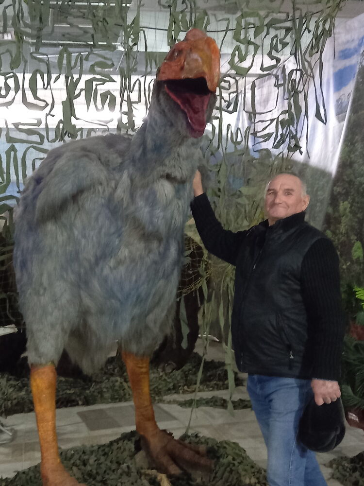  24107735  Petr, 64 ,    -