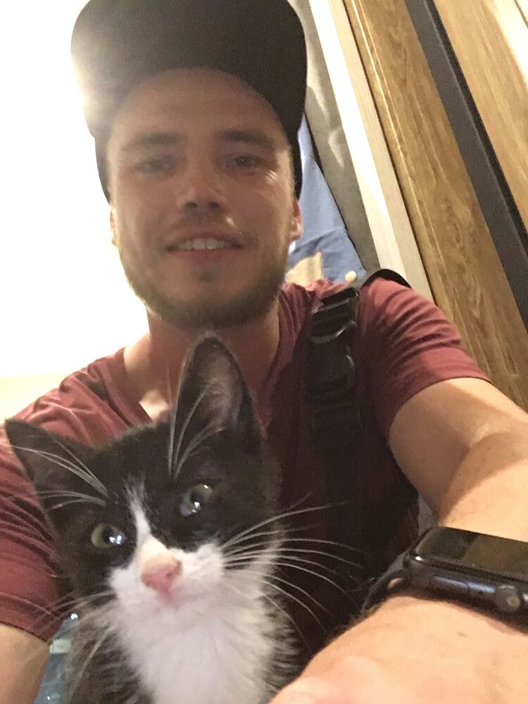 ���������� �����, ���� ������� �������, 35 ���, ������������ ��� ������, ����� � ���������, c�������� ���������