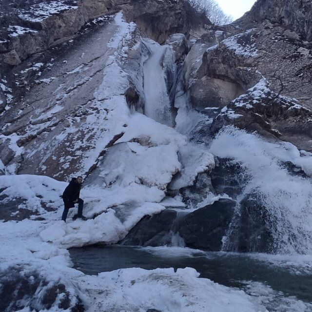 ���������� ������������, ���� ������� ���������, 36 ���, ������������ 