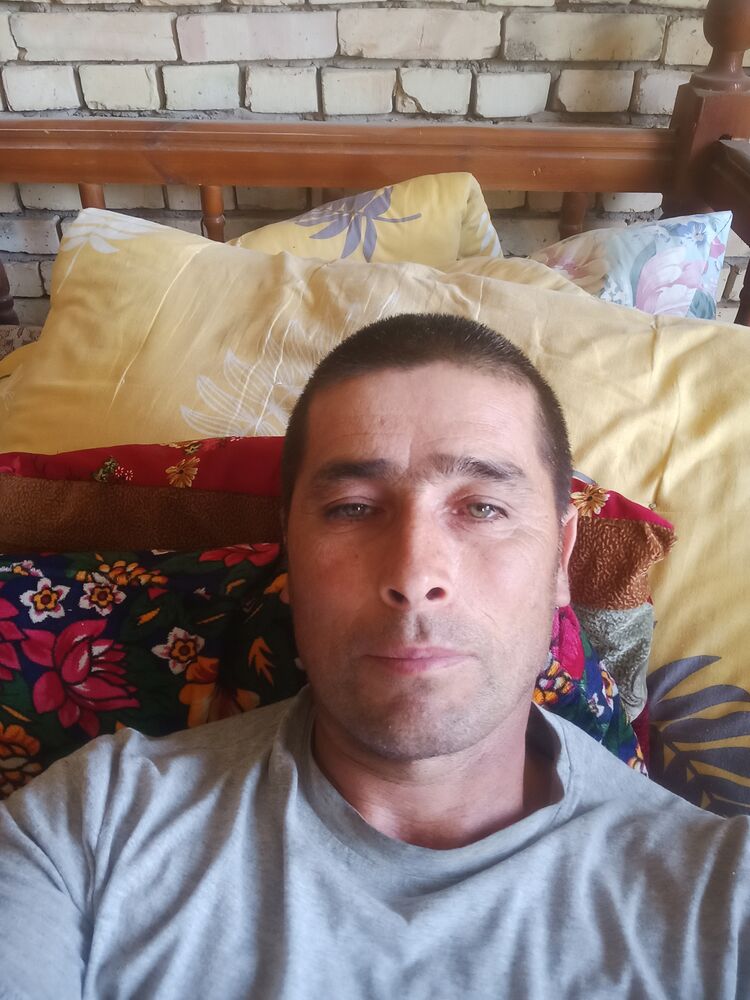  52454205  , 47 ,    