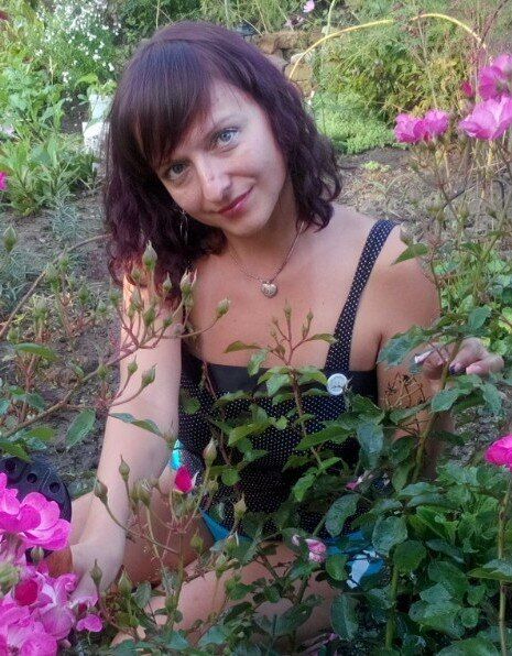 ���� 55827735 ������� ������, 29 ���, ���� ���������� � �������