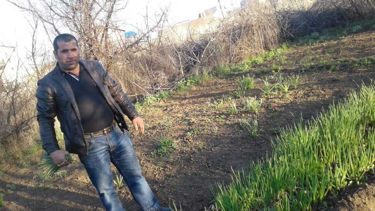 ���� 29853435 ������� ������, 48 ���, ���� ���������� � ����������