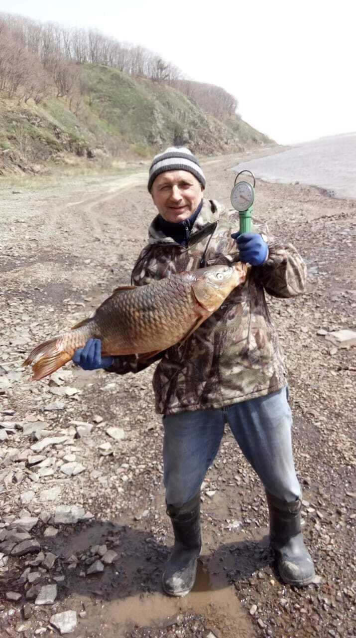  --,   , 66 ,     , c 