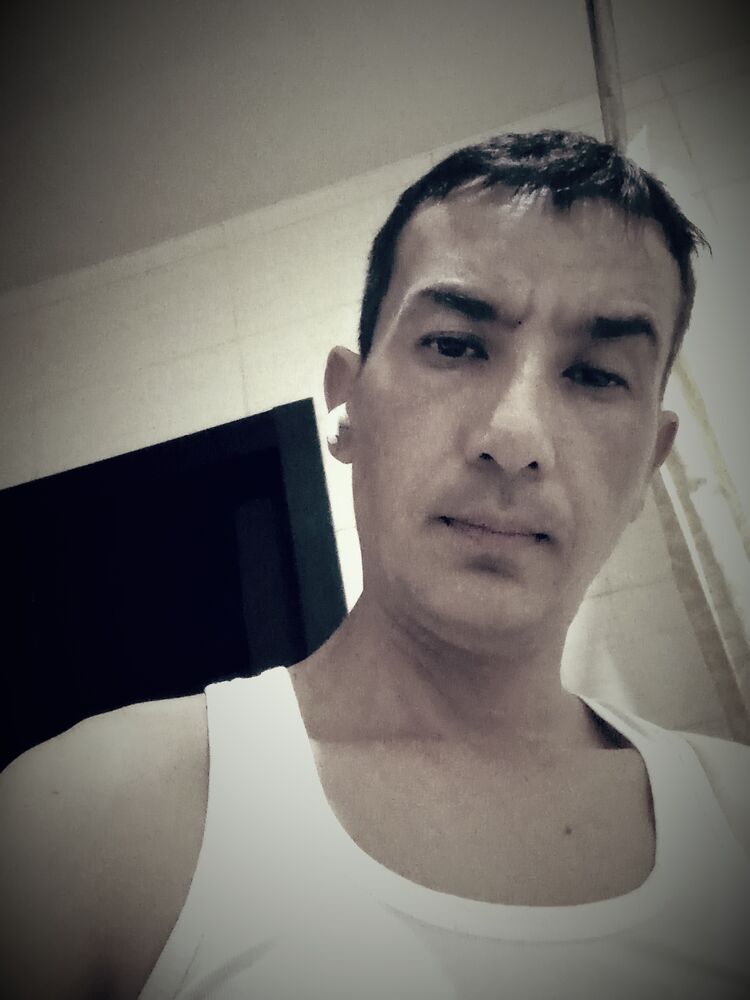  53061525  , 31 ,    