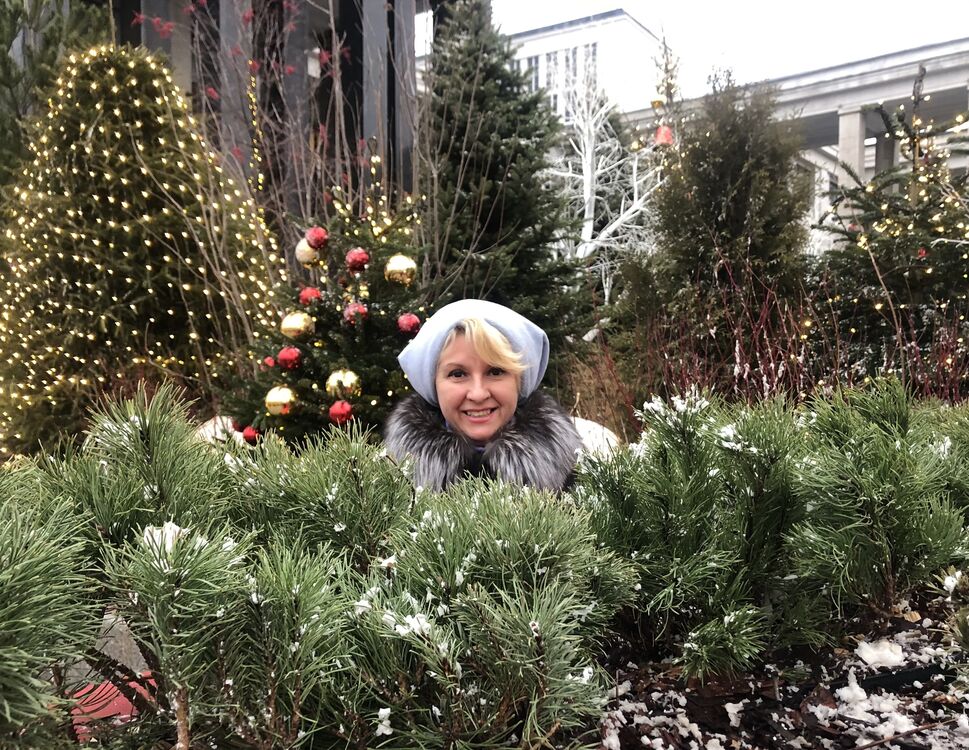 ���� 51163855 ������� �����, 53 ����, ���� ���������� � ������