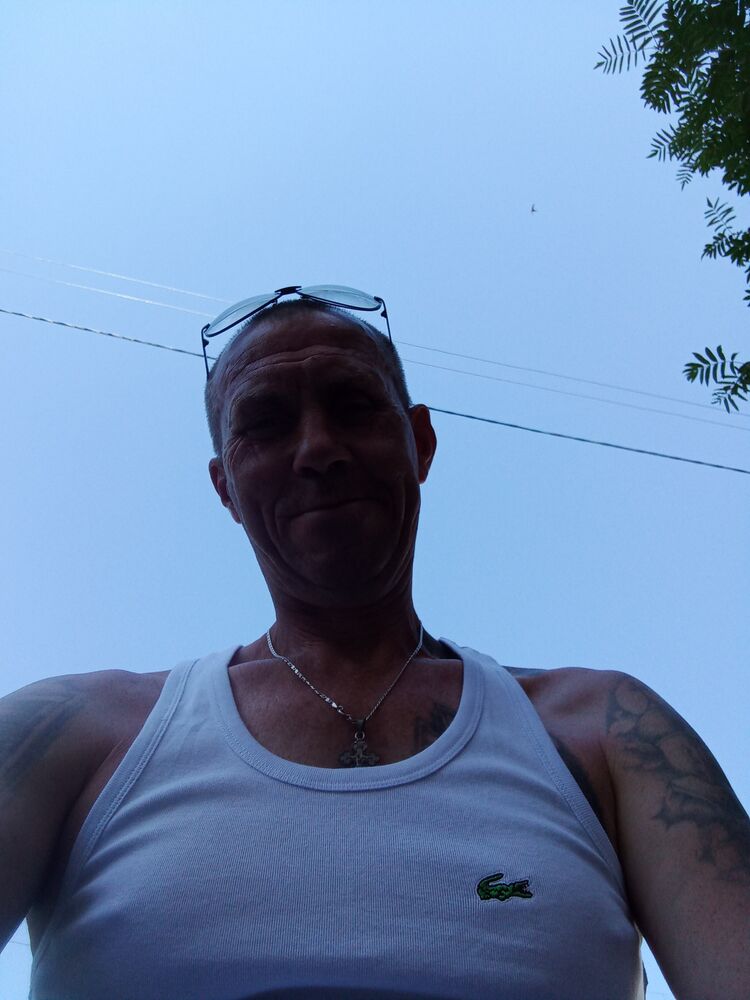  44278685  , 50 ,    -