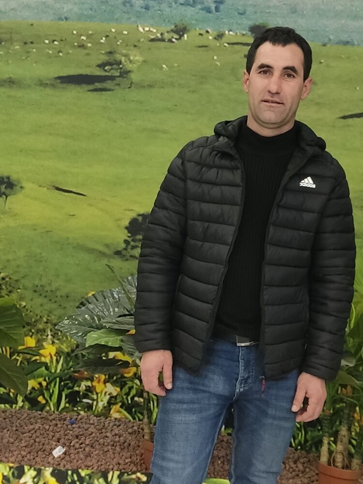 ���� 33370545 ������� ���������, 43 ����, ���� ���������� � ������