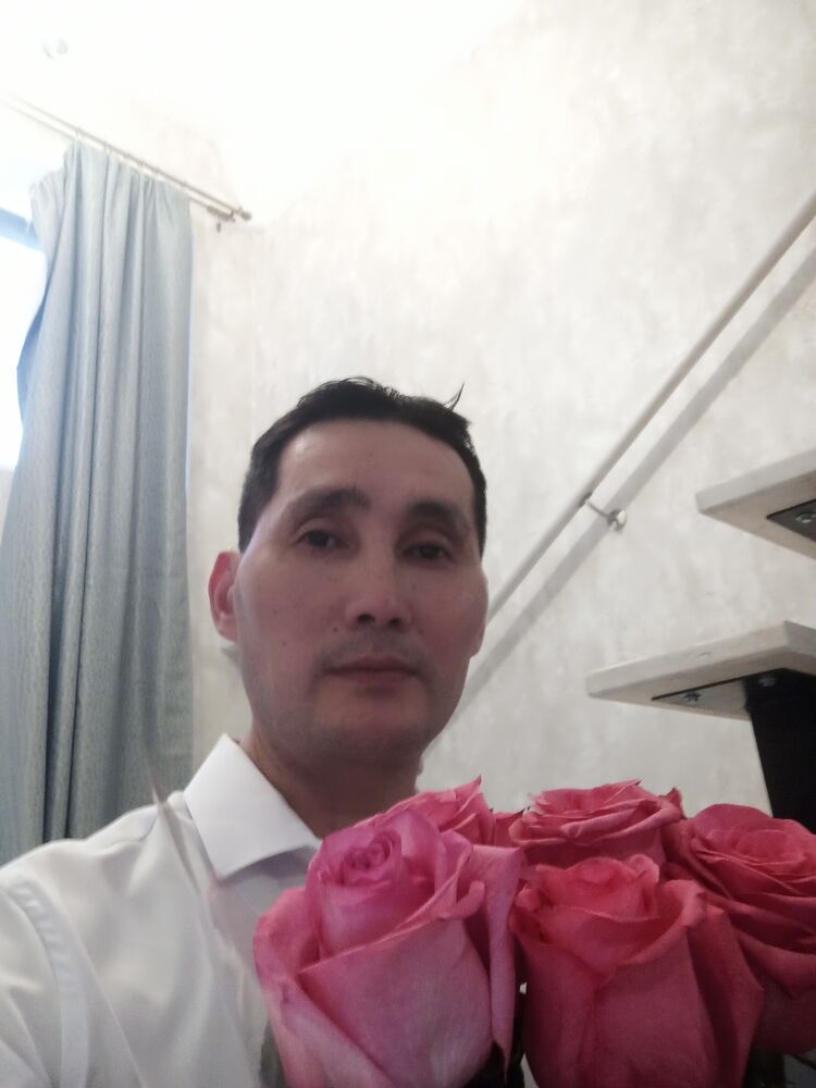  38463055  , 48 ,    