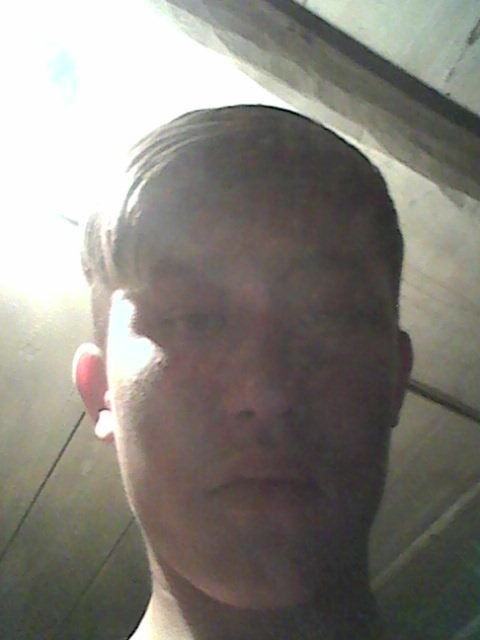  15765335  , 26 ,    