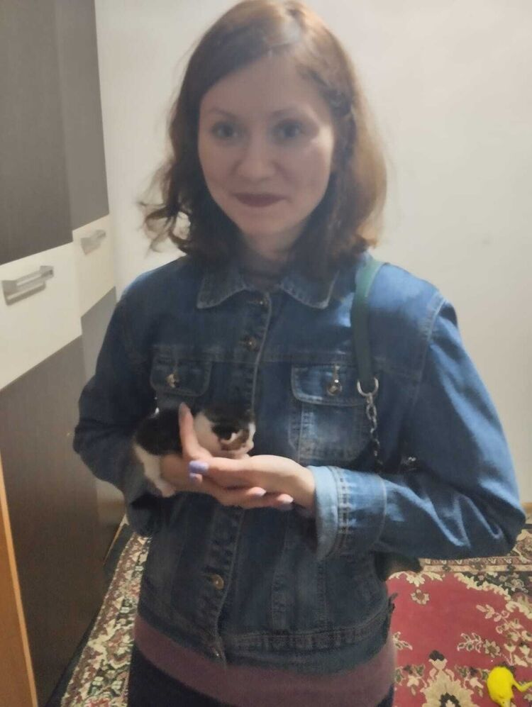  36286885  , 33 ,    