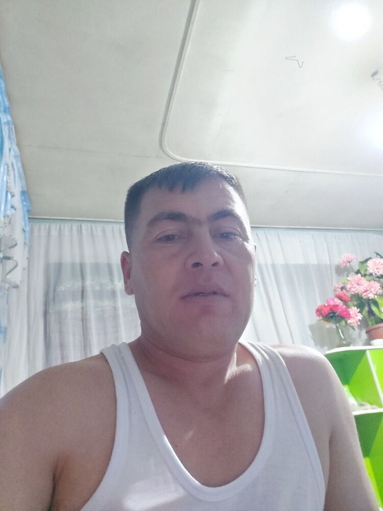  41625985  , 20 ,    -