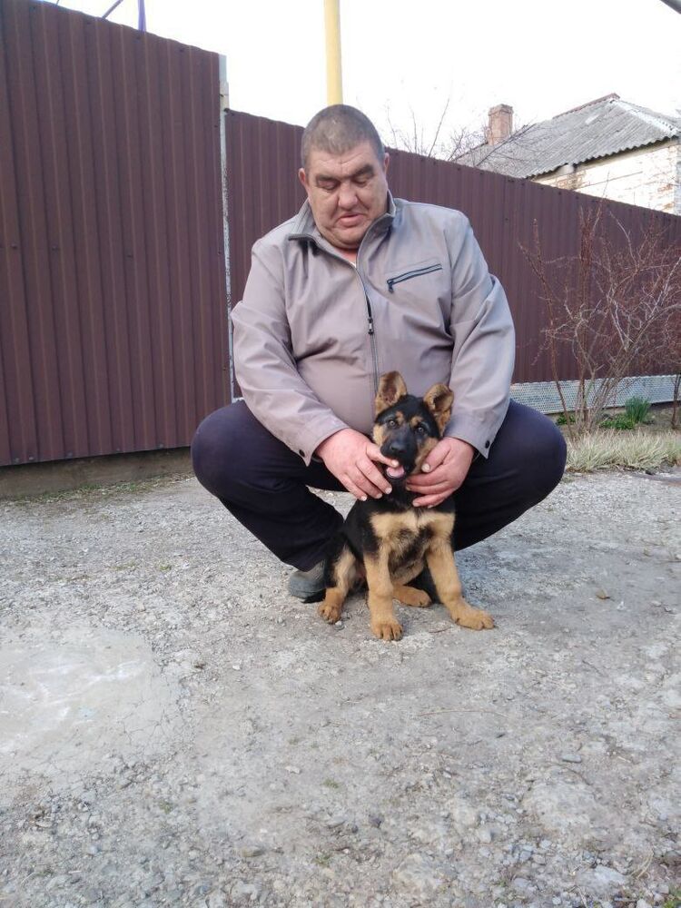 ���������� �����������, ���� ������� ����, 55 ���, ������������ ��� ������, ����� � ���������